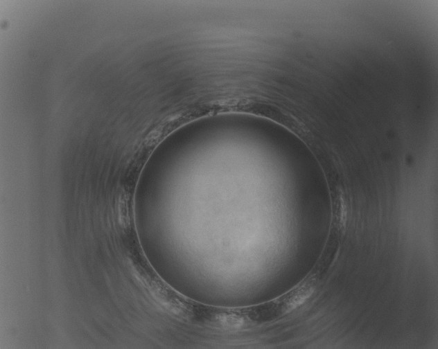 X0000053090272200507181726