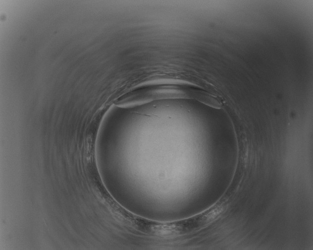 X0000053090273200507181726