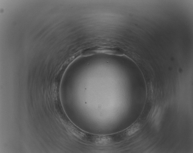 X0000053090274200507181726