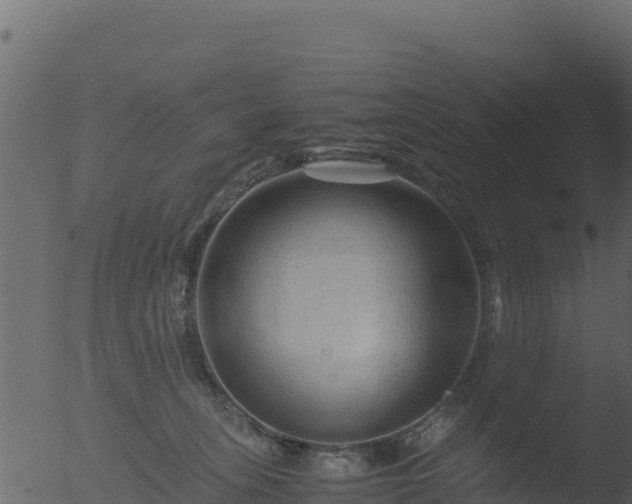 X0000053090275200507181726