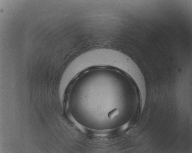 X0000053090276200507181726