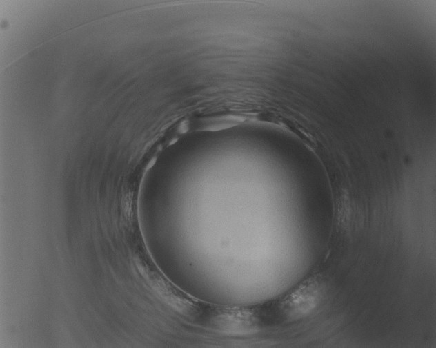 X0000053090278200507181727