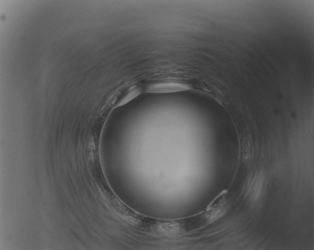 X0000053090279200507181727