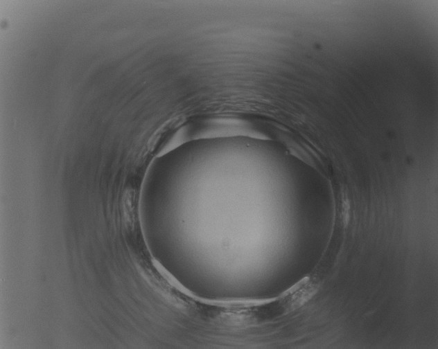 X0000053090280200507181727