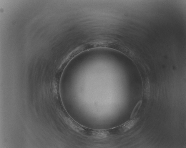 X0000053090282200507181727