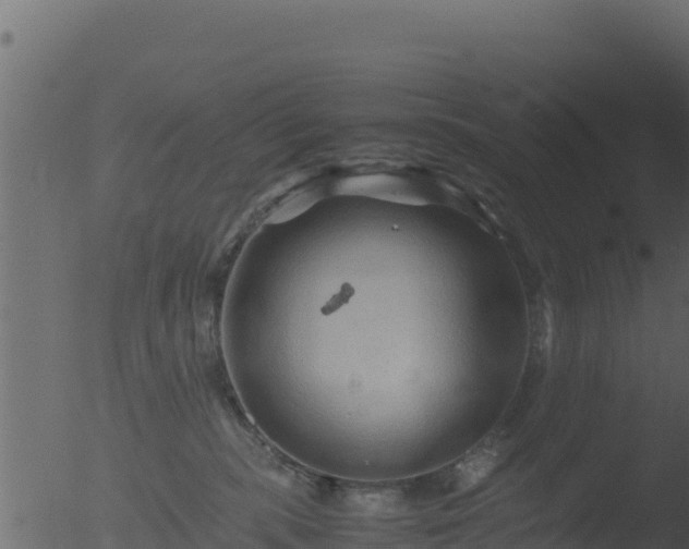 X0000053090283200507181727