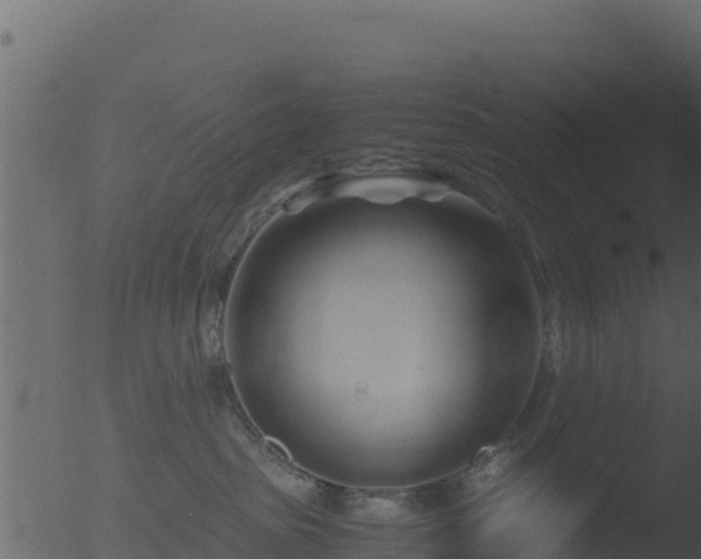 X0000053090285200507181727