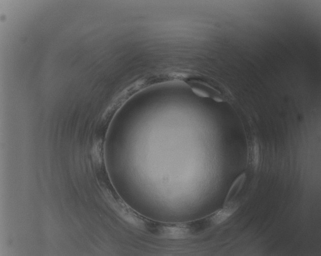 X0000053090286200507181727