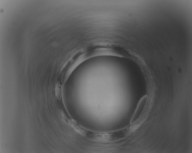 X0000053090288200507181727