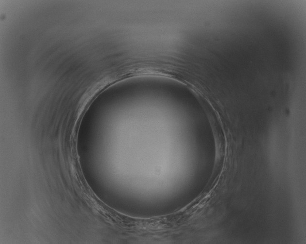 X0000053090289200507181726