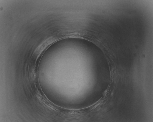 X0000053090290200507181726