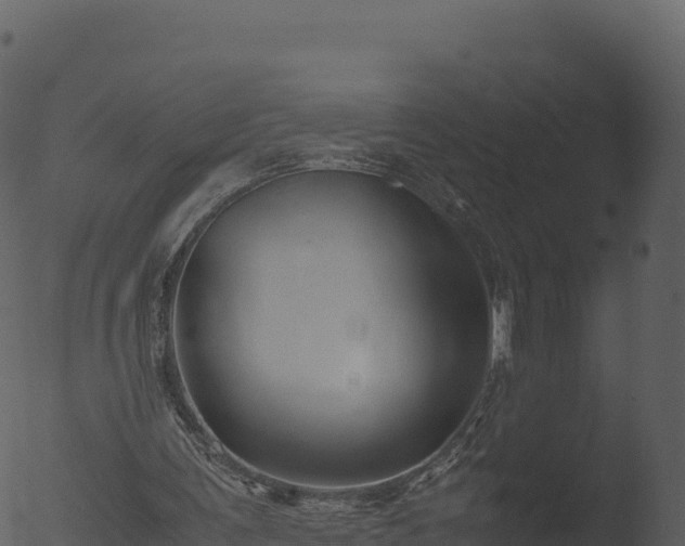 X0000053090291200507181726