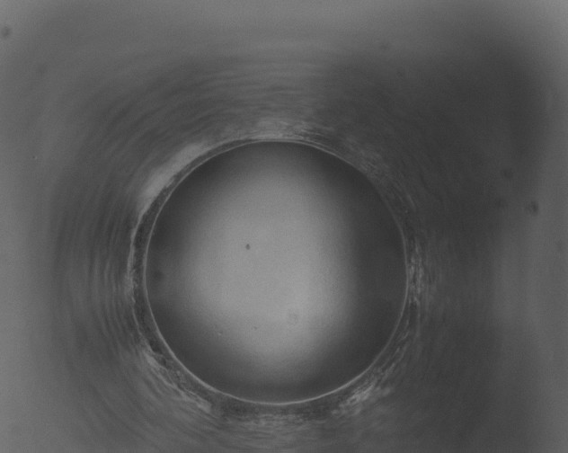 X0000053090292200507181726