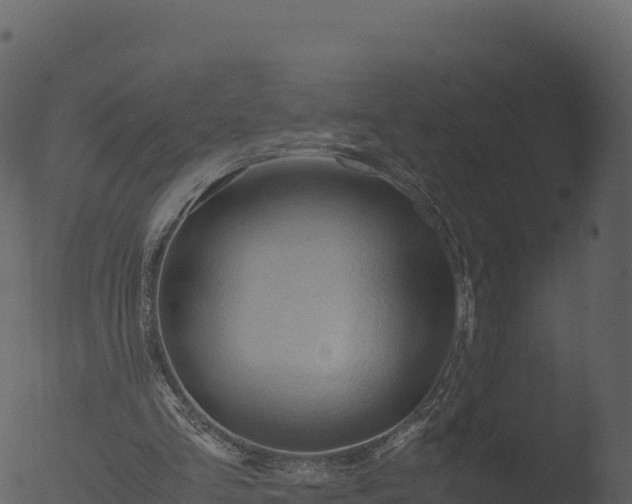 X0000053090293200507181726