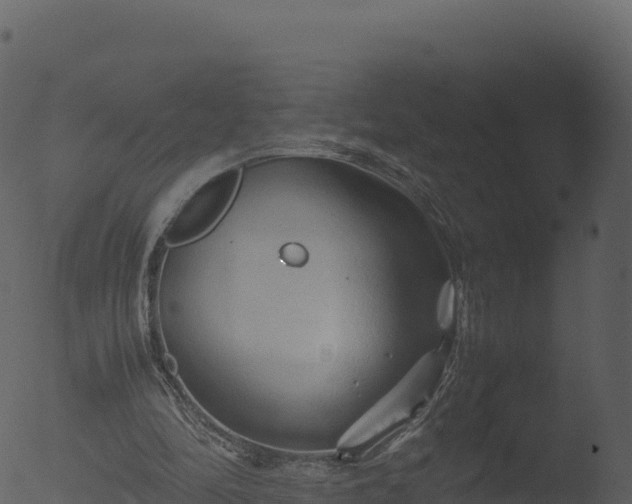 X0000053090294200507181726