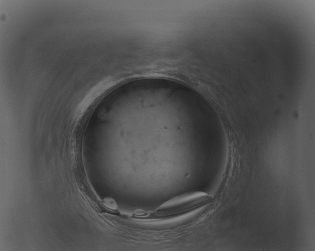 X0000053090295200507181726