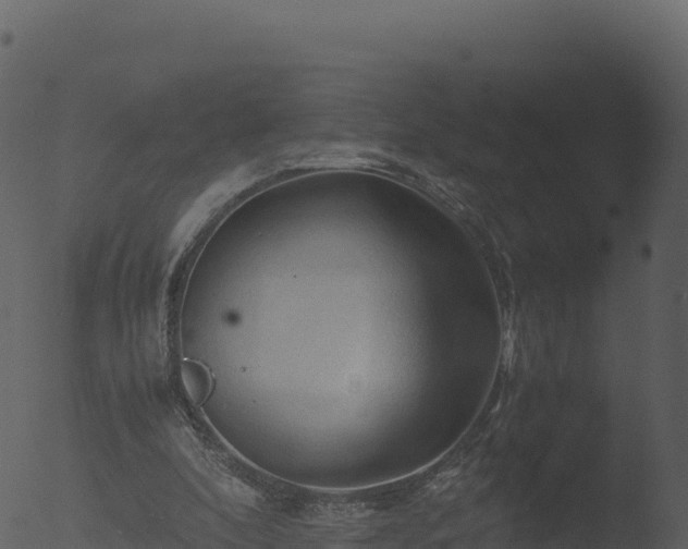 X0000053090296200507181726