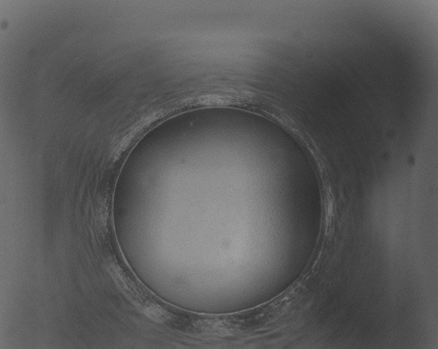 X0000053090297200507181726