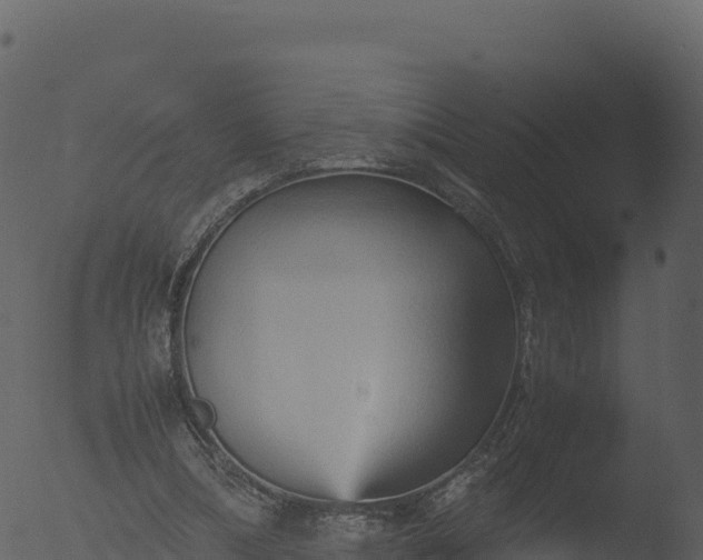 X0000053090298200507181726