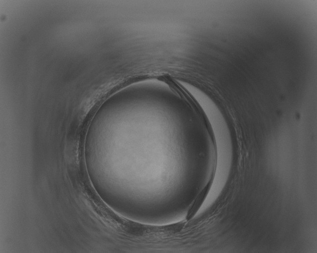 X0000053090299200507181726