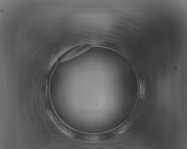 X0000053090301200507181726