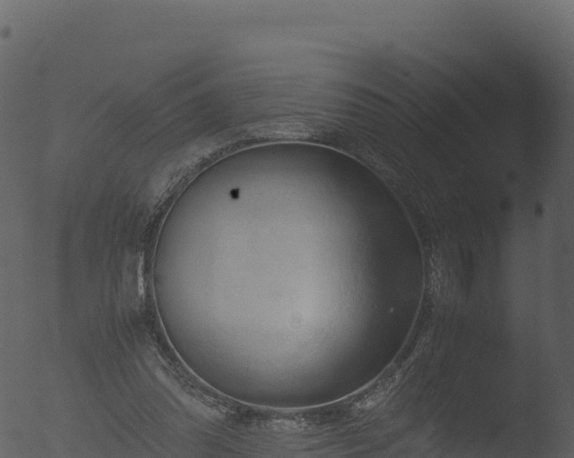 X0000053090302200507181726