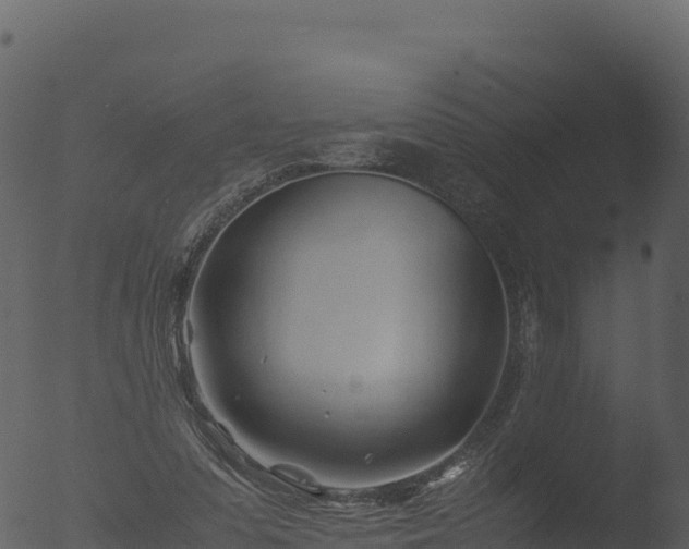 X0000053090303200507181726