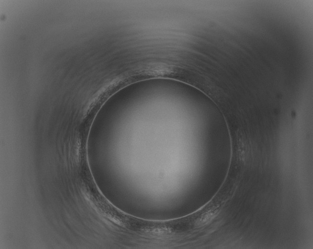 X0000053090304200507181726