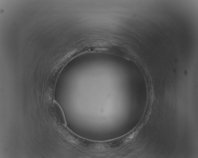 X0000053090305200507181726