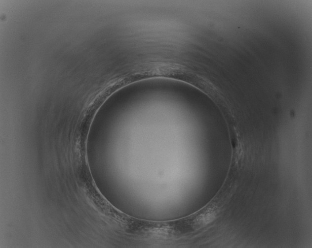 X0000053090306200507181726