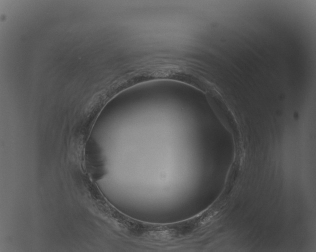 X0000053090307200507181726