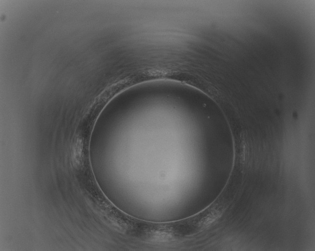 X0000053090308200507181726