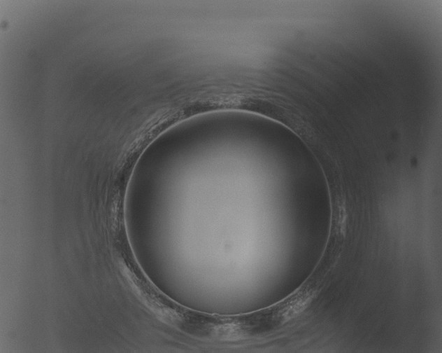 X0000053090309200507181726