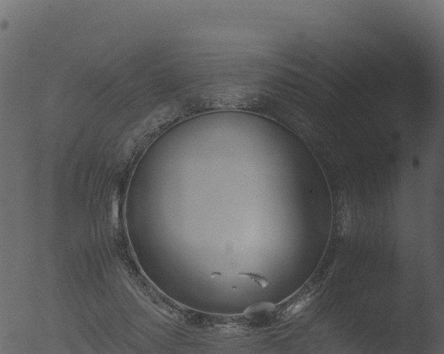 X0000053090310200507181726