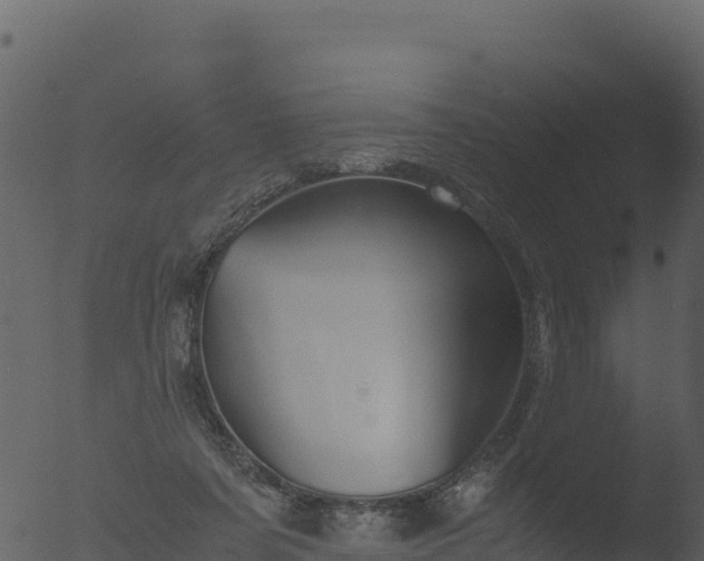 X0000053090311200507181725