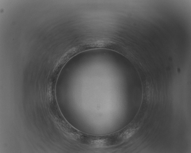 X0000053090312200507181725