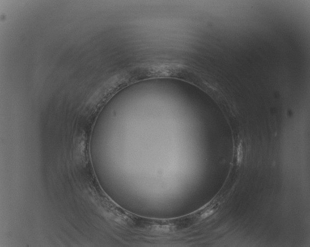 X0000053090314200507181725