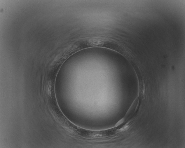 X0000053090315200507181725