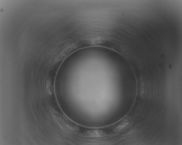 X0000053090316200507181725