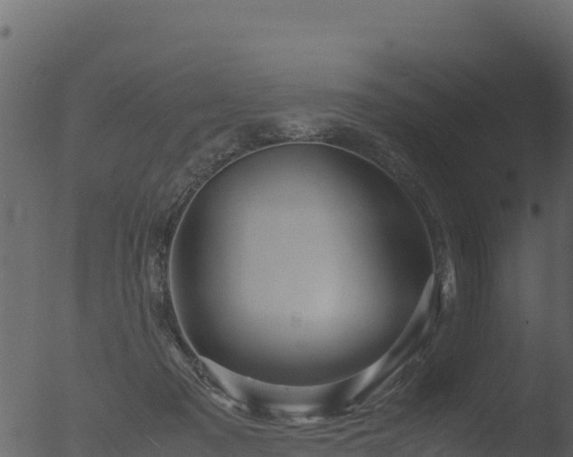 X0000053090317200507181725