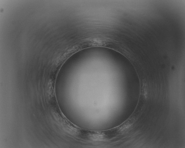 X0000053090318200507181725