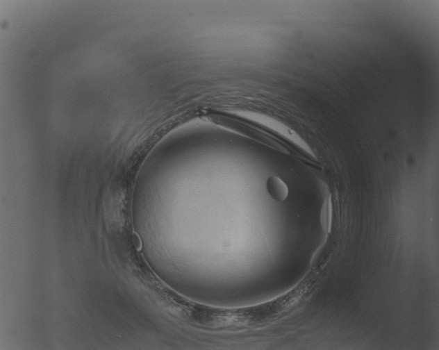 X0000053090319200507181725