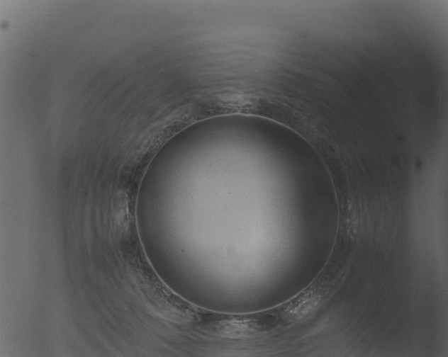 X0000053090320200507181725