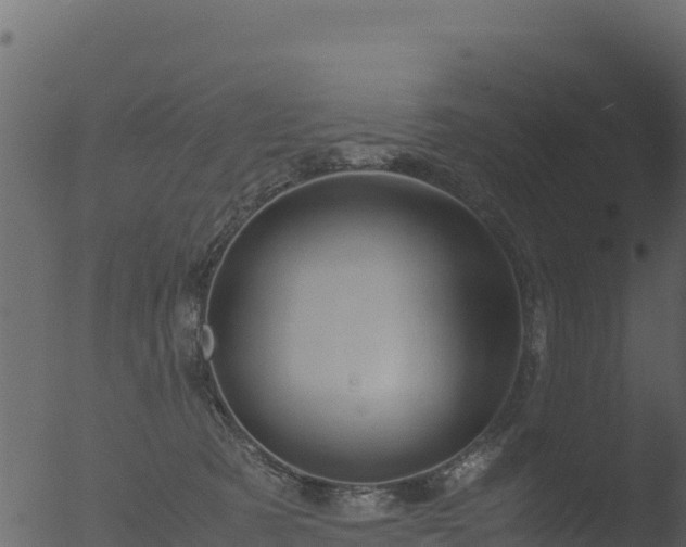 X0000053090321200507181725