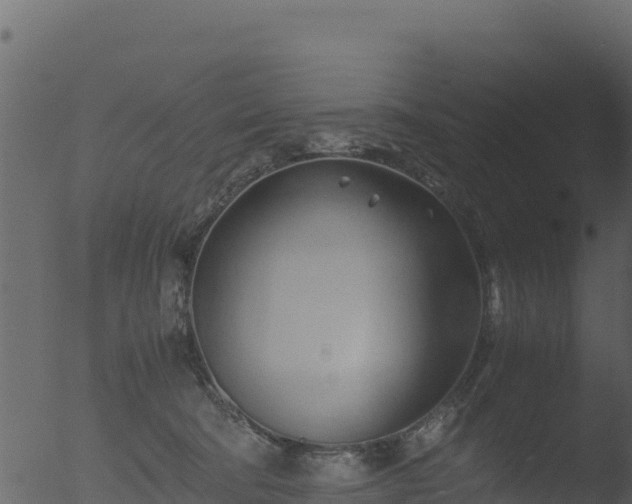 X0000053090322200507181725