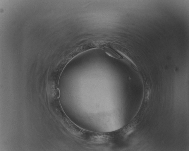 X0000053090323200507181725