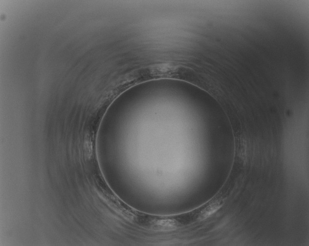 X0000053090324200507181725