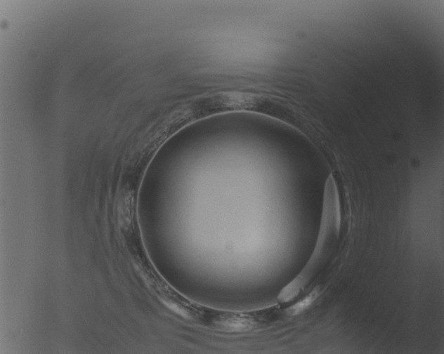 X0000053090325200507181725