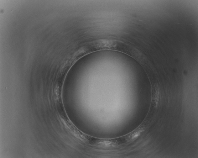 X0000053090326200507181725