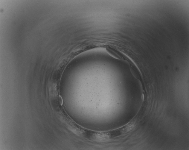 X0000053090327200507181725